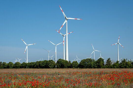 Modern wind energy plants with red poppy flowers seen in Germany