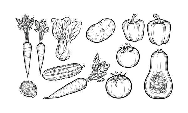 Set of various vegetables outline illustration in black and white - Powered by Adobe