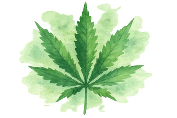 Cannabis leaf watercolor illustration with green paint splash, marijuana plant on transparent background