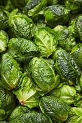 Fototapeta premium fresh cabbage in the market