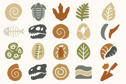 Nature and Fossil Icons Collection with Leaves, Shells, and Bones
