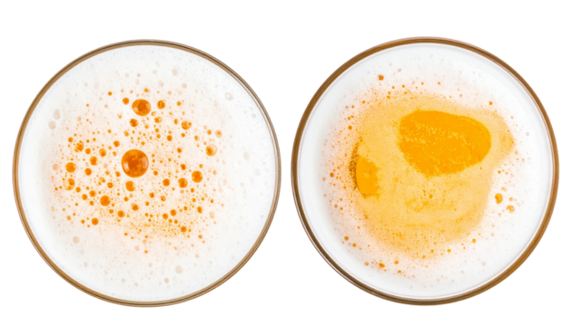 Set of Frothy Beer Tops with Effervescent Bubbles isolated on transparent background