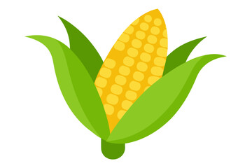 corn on a white background