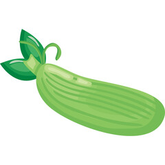 A light green zucchini with two green leaves and a vine on a transparent background