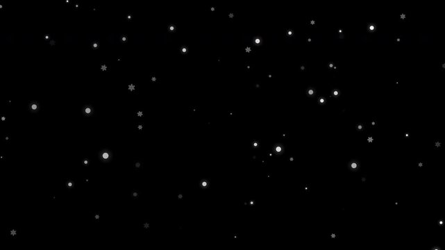 Loop White snow flake falling on black background