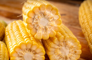Sweet corn ears closeup. Fresh maize cob macro texture, autumn sweetcorn, corncob close up