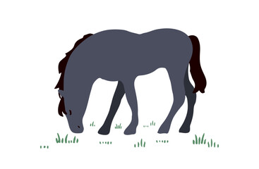 馬のイラスト素材