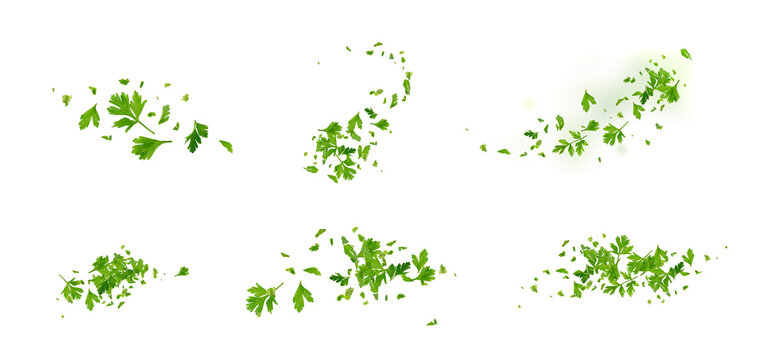 Chopped Parsley Leaves Isolated