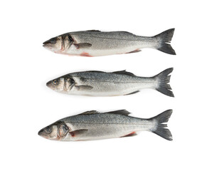 European seabass or Dicentrarchus labrax, whole raw labrax, branzino fish, European bass