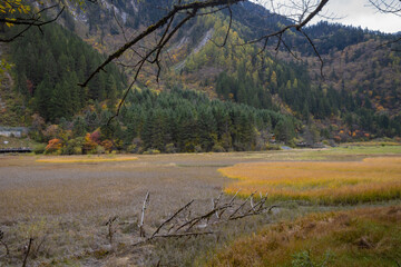 Beautiful nature in late October autumn, on the way to Arrow Bamboo Lake Waterfall, Jiuzhaigou National Park, Sichuan China