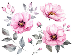 Pink floral arrangement, open blooms, buds, grey foliage on black