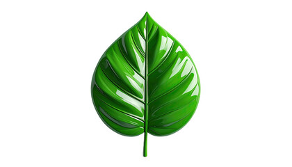 Glossy green leaf with prominent veins against a black background