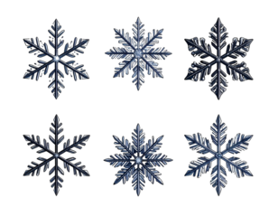 Six detailed snowflakes against a black background