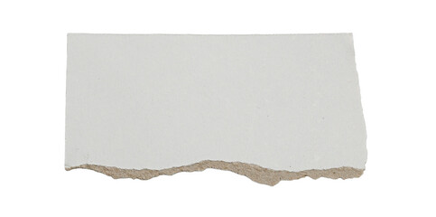 Torn Paper Edge Texture Isolated on White Background