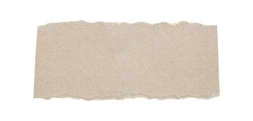 Torn Paper Edge Texture Isolated on White Background