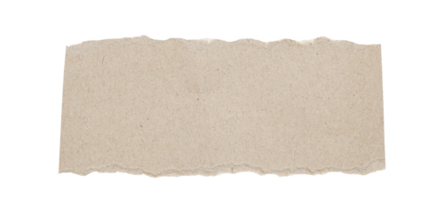 Torn Paper Edge Texture Isolated on White Background