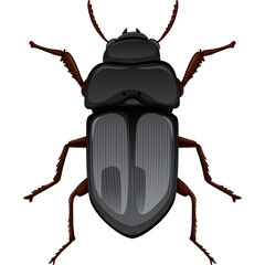 Detailed Pixel Art Illustration of a Black Beetle Insect With Six Legs And Antennae Isolated On Transparent Background