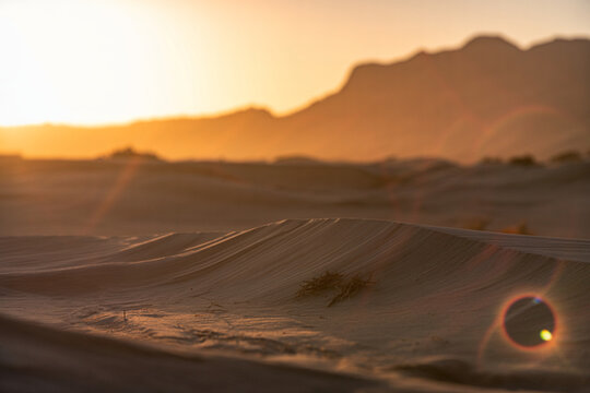 Desert landscape sand dunes sunset sunrise golden hour arid nature scenic travel adventure exploration tranquility horizon wilderness dry heat vacation 140
