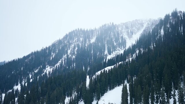 4K Landscape shot of snowy Himalayan mountain peaks with trees on top during the winter season as seen from Sonmarg in Jammu and Kashmir, India. Scenic view of Pir Panjal range in winter season.