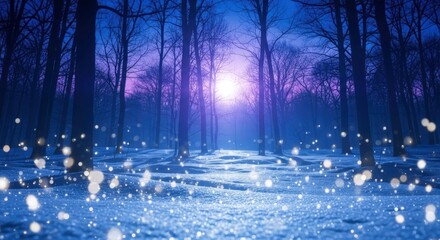 Enchanted winter forest path at twilight with magical glowing lights.