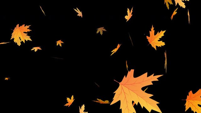 Flying autumn maple leaves falling on Isolated Leaf Overlay