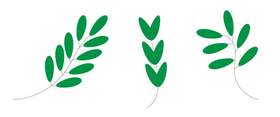 green twigs on a white background, set, illustration,