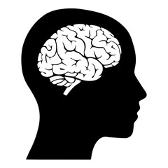 Silhouette Head Profile Showing Detailed Human Brain Inside for Psychology and Neuroscience Concepts