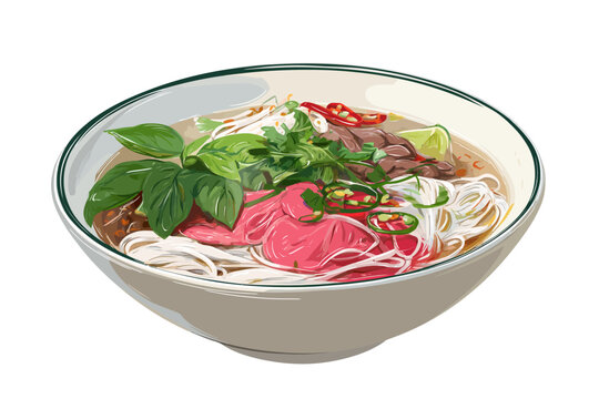 Traditional Vietnamese Pho Noodle Soup with Beef, Herbs, and Chili Peppers Hand-Drawn Illustration