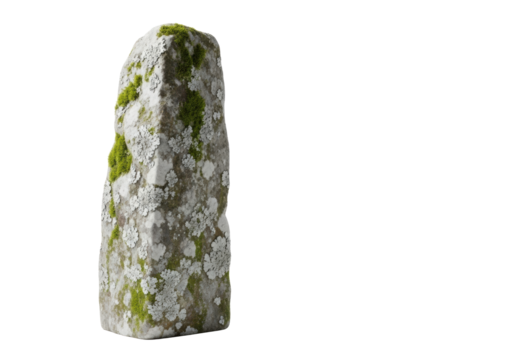 Elegant ancient monolith, weathered, moss, lichen, sculptural, isolated on transparent studio background, negative space, concept of enduring quality