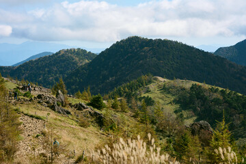 Obraz premium 大菩薩嶺の登山道