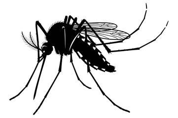 Mosquito silhouette illustration in black and white line art showing segmented body, long legs, veined wings, and feathery antennae
