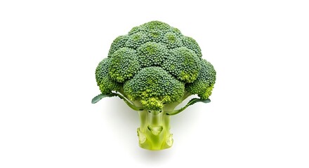 Fresh broccoli isolated on white background