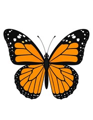 Fototapeta premium A vibrant monarch butterfly with open wings is shown in a flat, vector illustration style, featuring detailed wing patterns against a white background