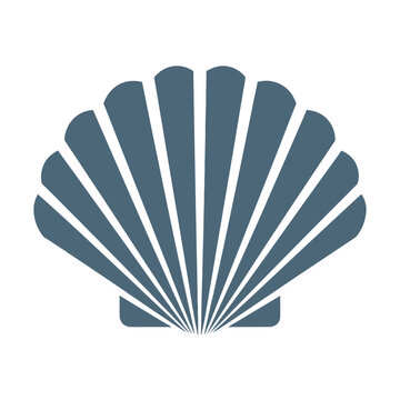 Blue seashell icon symbol ocean