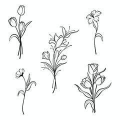 Vector set of line art floral and flowers