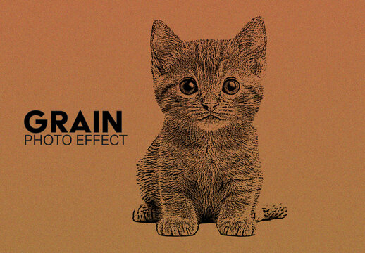 Grain Photo Effect