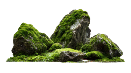 Moss covered rocks and stones arranged to resemble a miniature mountain landscape
