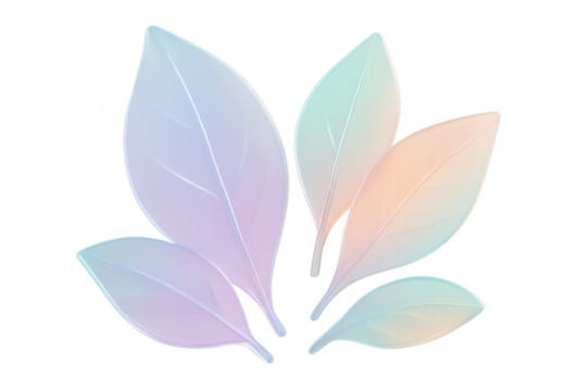 Translucent pastel leaves illustration with iridescent gradient colors on a transparent background