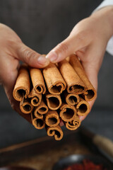 Fresh Cinnamon Sticks from Guangxi China - Natural Aromatic Spice Seasoning in Cupped Hands