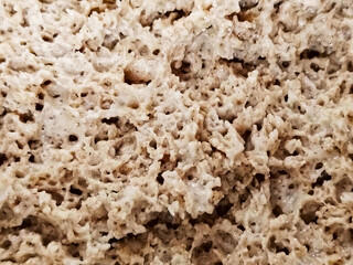 Fermenting sourdough starter background.