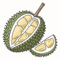 A vibrant illustration of a ripe durian fruit cut in half revealing its creamy yellow flesh and a slice beside it