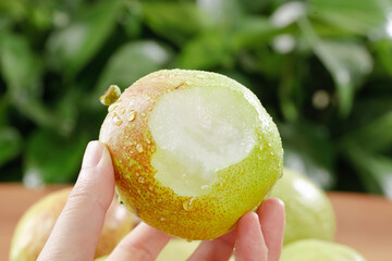 Fresh Korla Fragrant Pear from Xinjiang China - Crisp White Flesh with Water Droplets