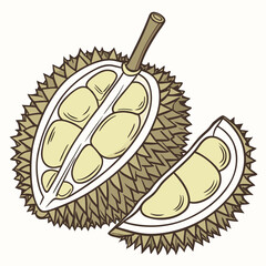 A stylized illustration of a ripe durian fruit cut in half revealing its creamy yellow flesh and seeds