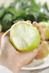 Fresh Xinjiang Korla Pear Half in Hand - Crisp Juicy Chinese Fruit Close-up