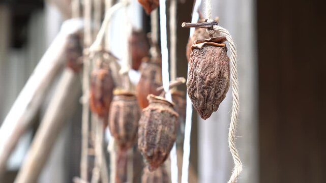 日本の秋の映像　おいしい干し柿