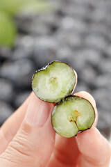 Wild Yunnan Alpine Blueberries Cut Open in Hand Showing Seeds and Interior Flesh
