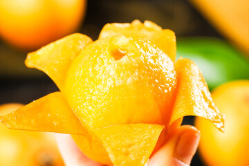 Fresh Loquat Fruit Slices from Yunnan China - Sweet Orange Tropical Asian Fruit