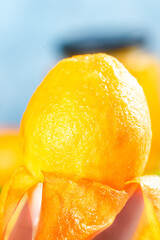 Fresh Alpine Loquat Fruit Close-up from Yunnan Panzhihua Region China