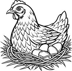 A detailed, black and white line art illustration of a hen is centered in the frame. The hen is a mature adult, rendered in a detailed hatching style, giving the image a classic, engraved feel. The he
