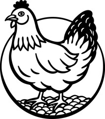 A detailed, black and white line art illustration of a hen is centered in the frame. The hen is a mature adult, rendered in a detailed hatching style, giving the image a classic, engraved feel. The he